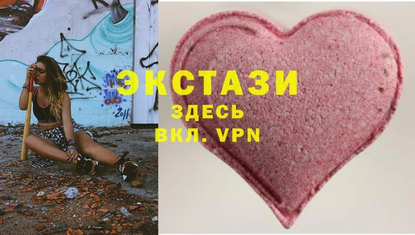 молекула духа Новозыбков