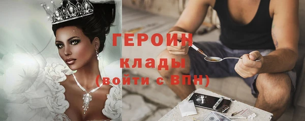 молекула духа Новозыбков