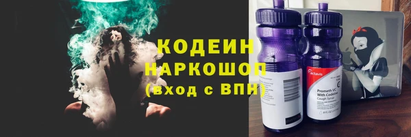 молекула духа Новозыбков