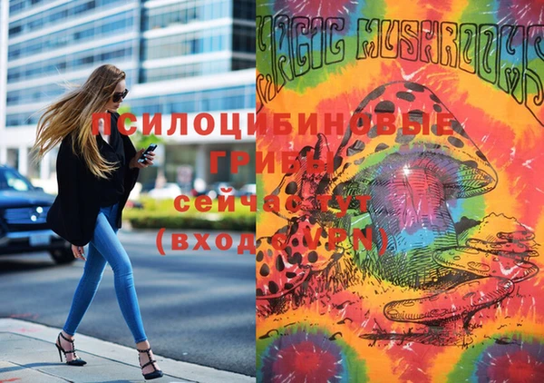 молекула духа Новозыбков