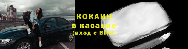 молекула духа Новозыбков