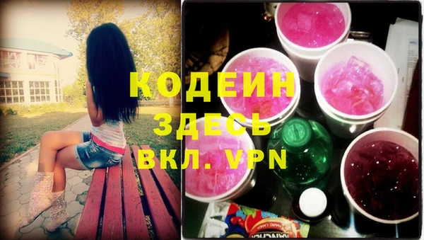 молекула духа Новозыбков