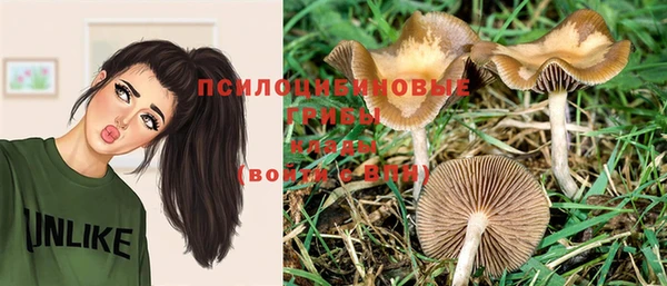 прущий лед Новокубанск