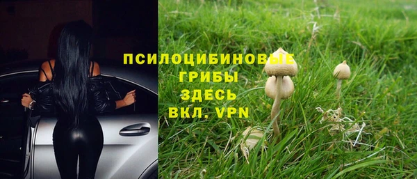 молекула духа Новозыбков