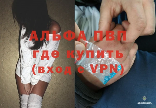 молекула духа Новозыбков