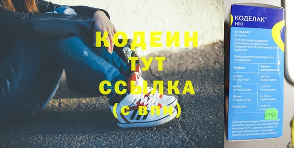 молекула духа Новозыбков