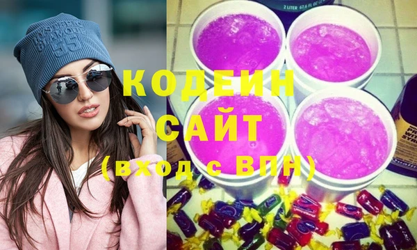 молекула духа Новозыбков