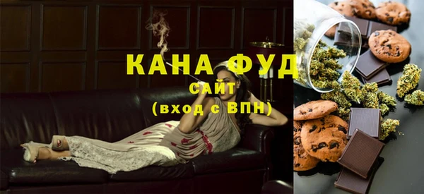 молекула духа Новозыбков