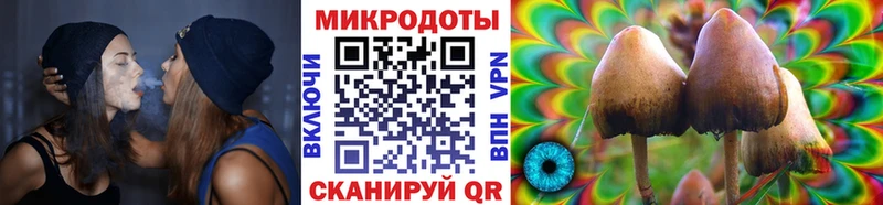 площадка наркотические препараты  Саянск  Псилоцибиновые грибы MAGIC MUSHROOMS  hydra ТОР 